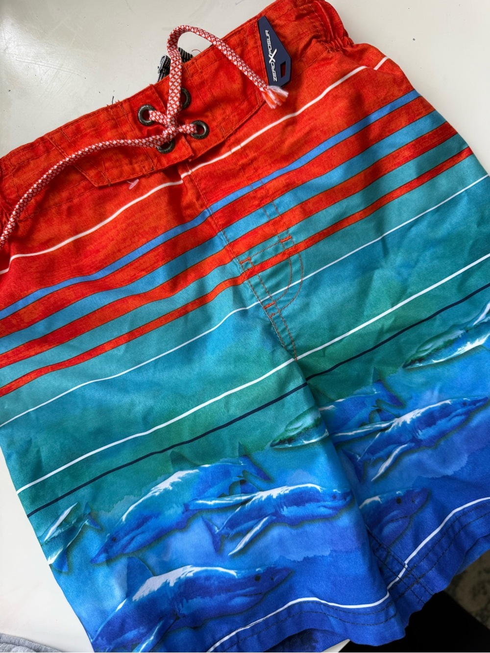 ZeroXposur Boys Red Green Blue Dolphin Swim Trunks